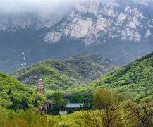 星空体育-嵩山鲸鲨队鏖战关中黑豹队，射击季后赛小胜，替补奇兵立功。冲刺阶段不容有失的简单介绍