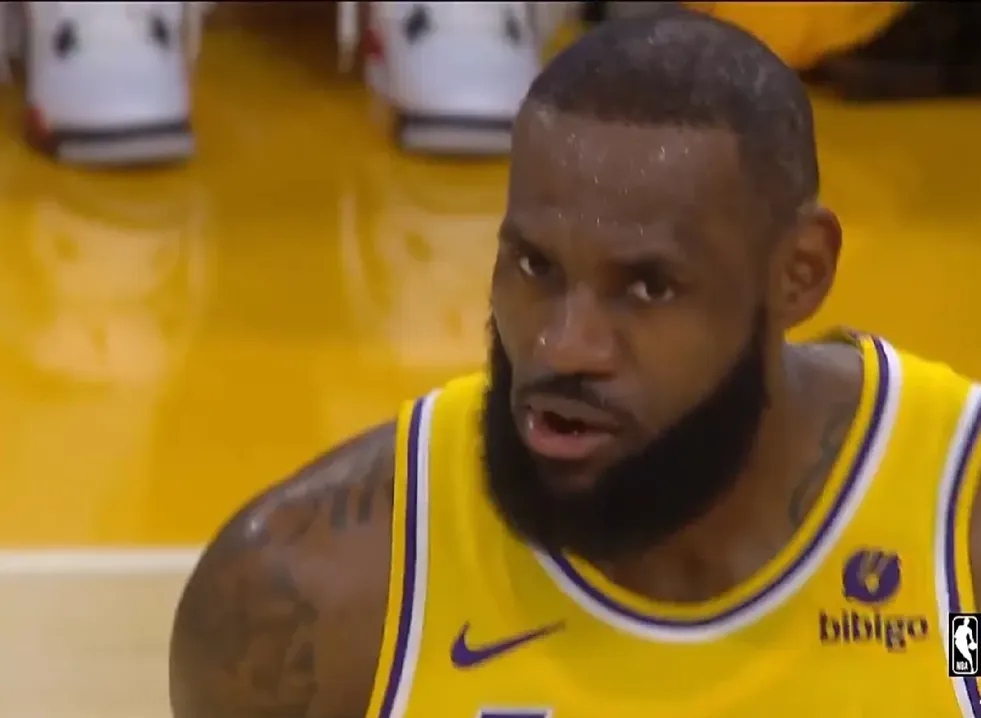 包含詹姆斯迎来二十赛季高光表现，快船球迷沸腾！的词条